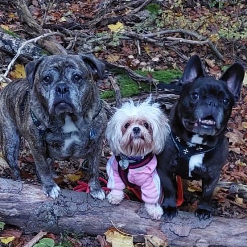 WhatsApp Image 2024-10-20 at 18.18.24