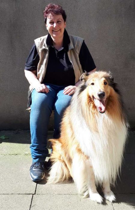 teaserbox_2487599594